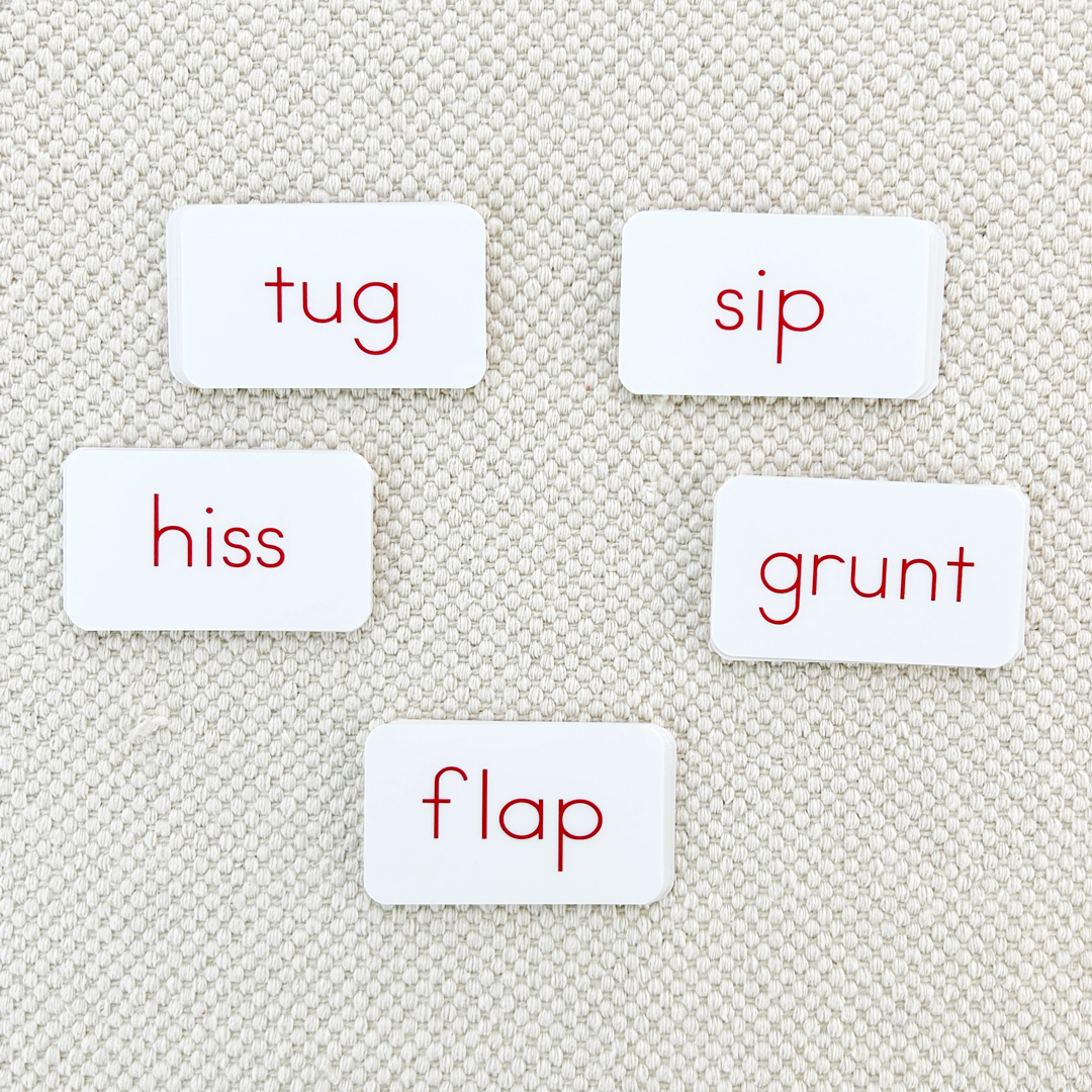 Phonetic Activity Cards
