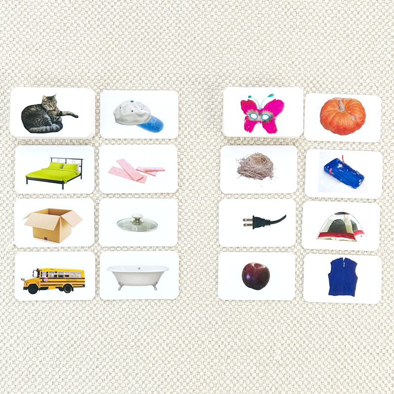 Phonetic Picture Cards