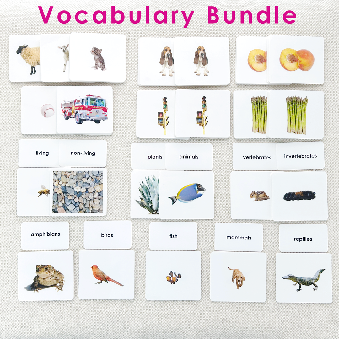 Early Literacy Bundles
