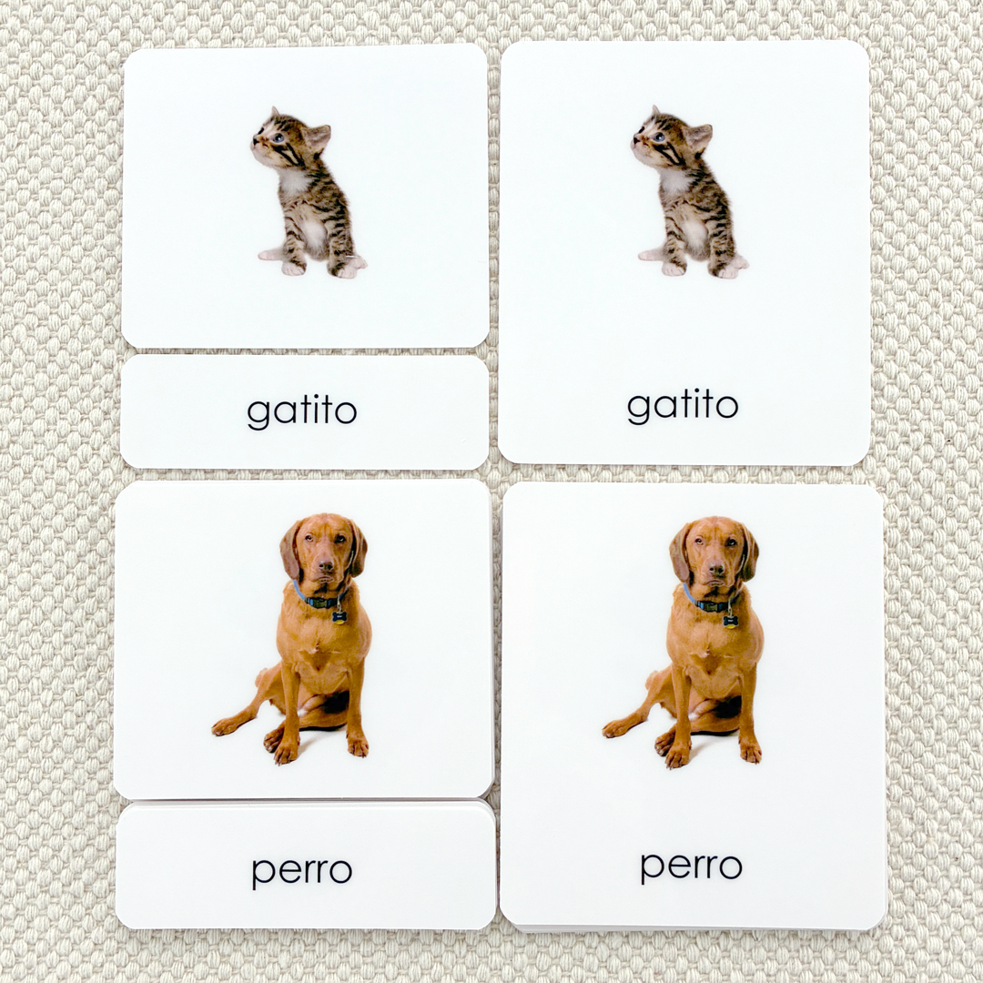 Spanish Pets 3-Part Cards