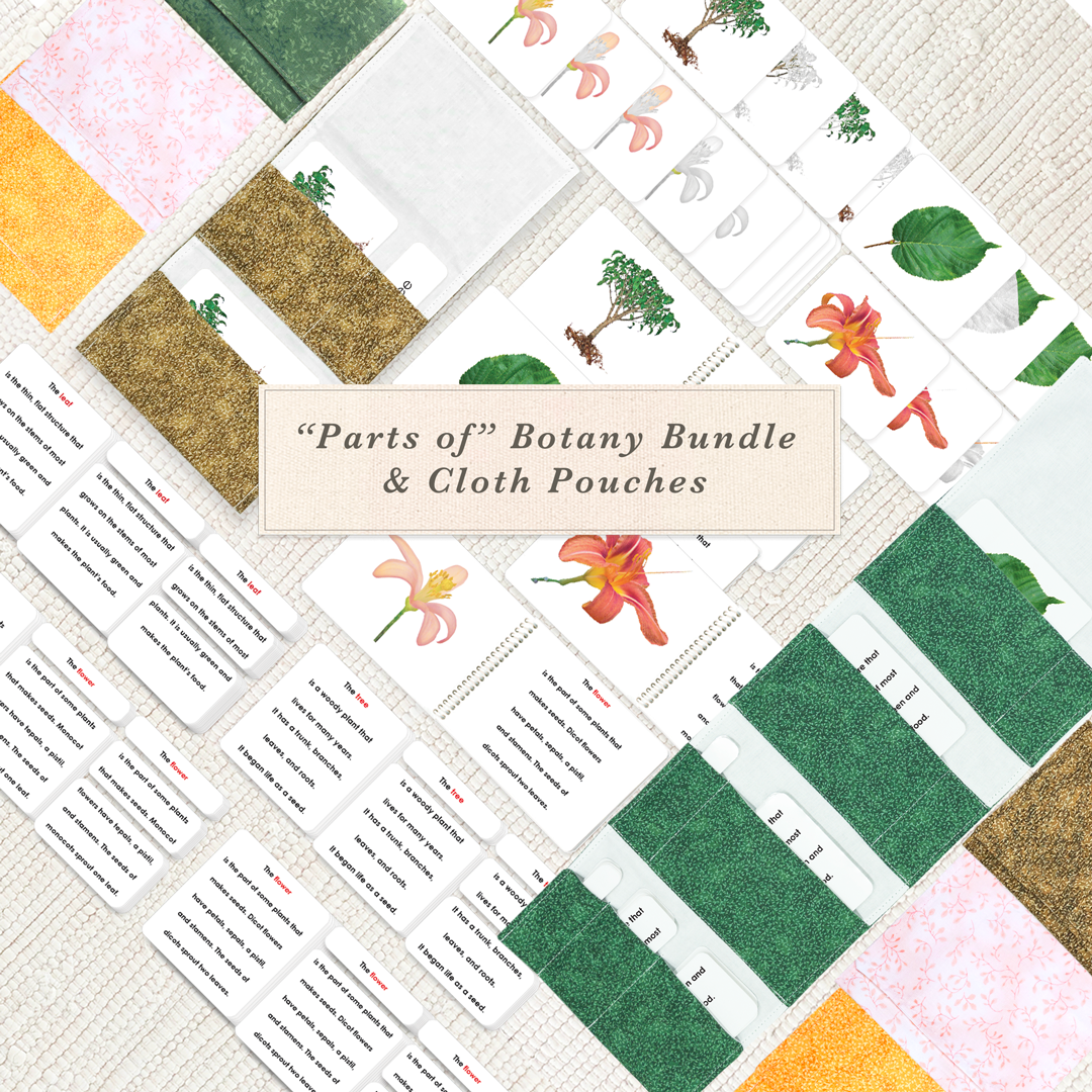 "Parts of" Botany Bundle