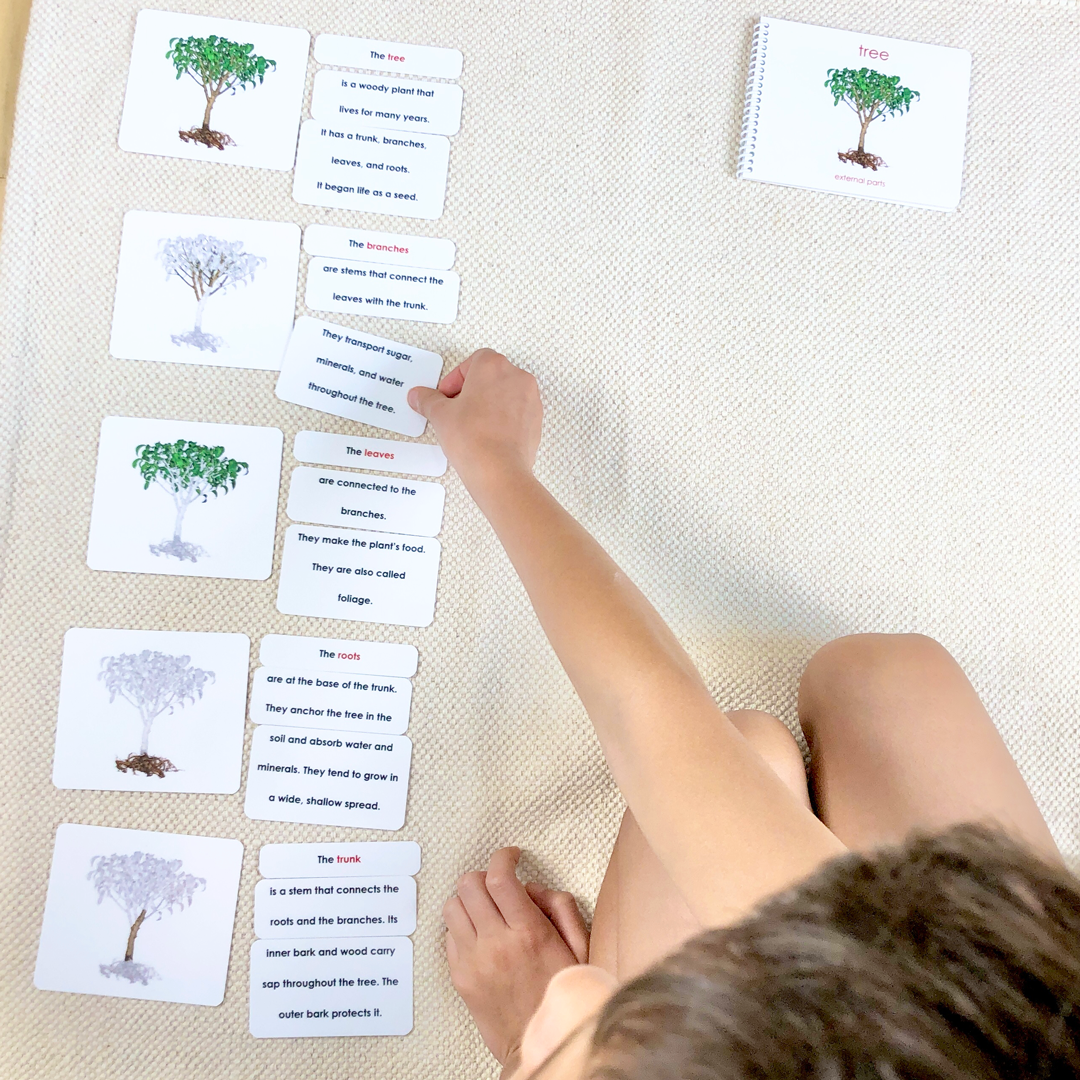 Reading Comprehension Kit: Build-a-Book Definitions in Stages