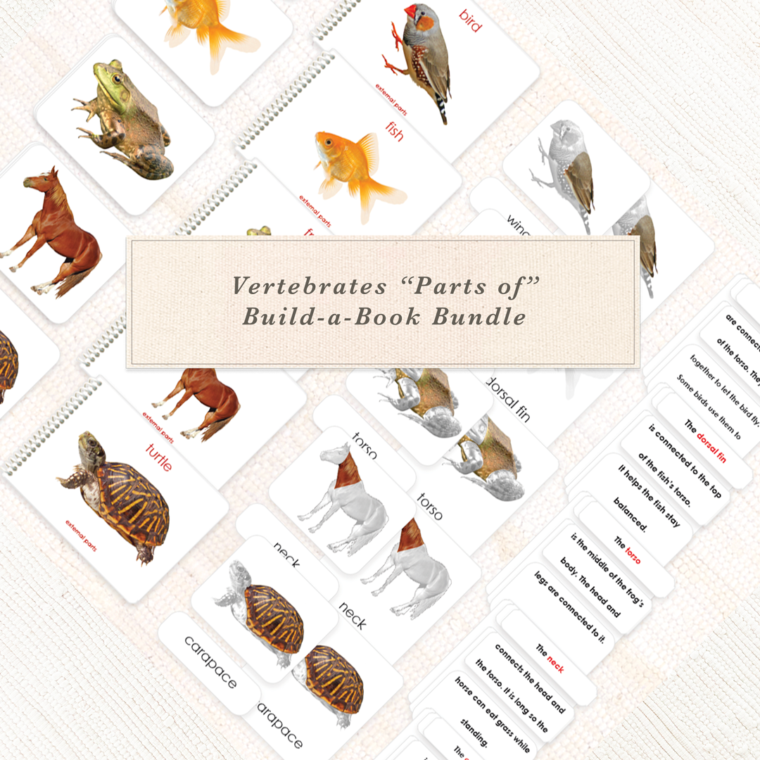 Vertebrates "Parts of" Book & Card Bundle