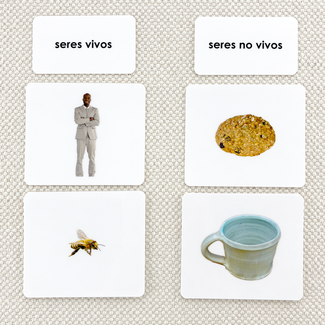 Spanish Living/Non-Living Sorting