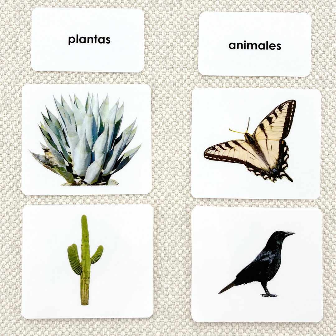 Spanish Plant/Animal Sorting