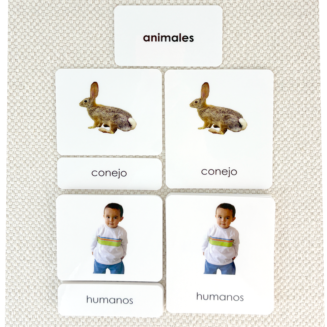 Spanish Animal Kingdom 3-Part Cards