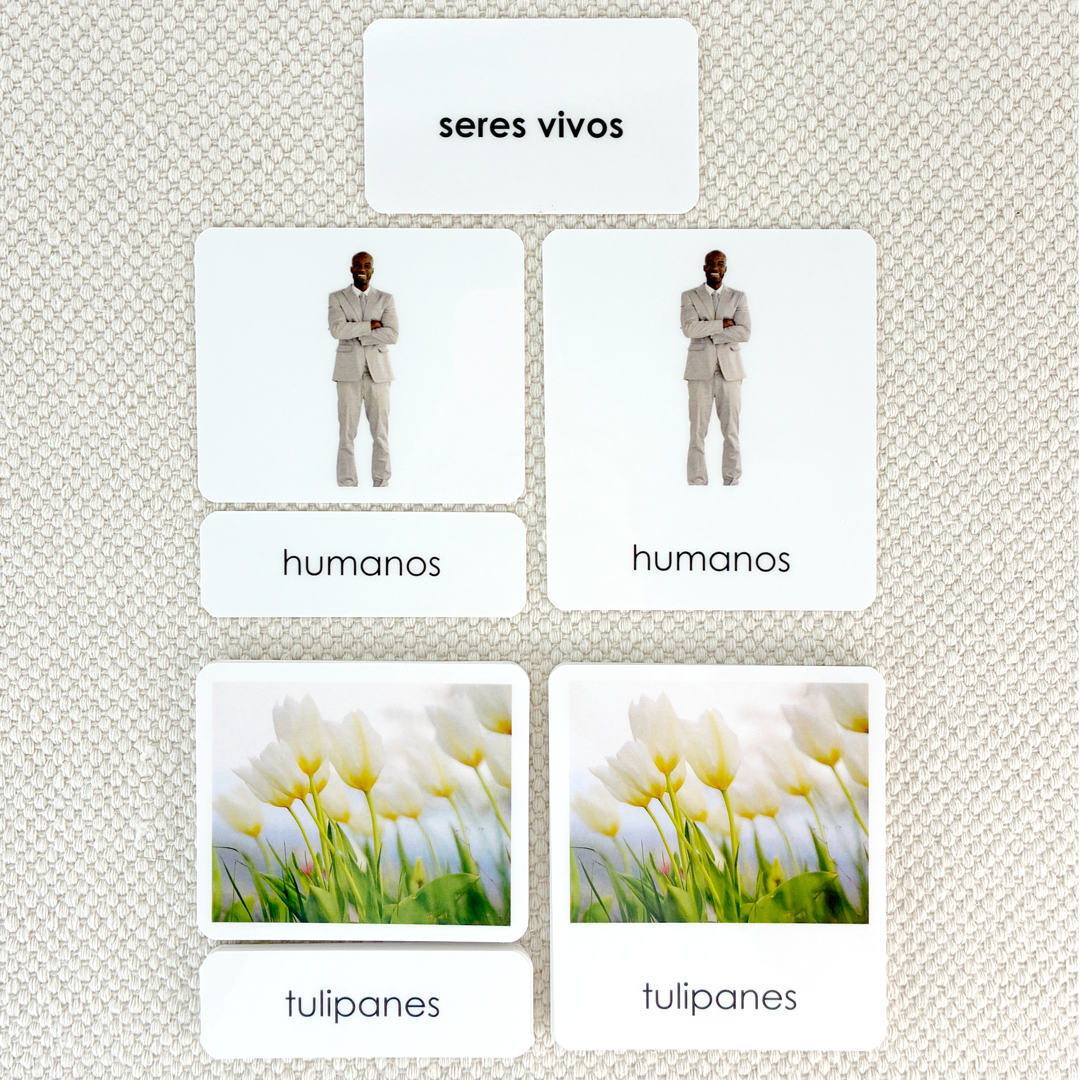 Spanish Living 3-Part Cards