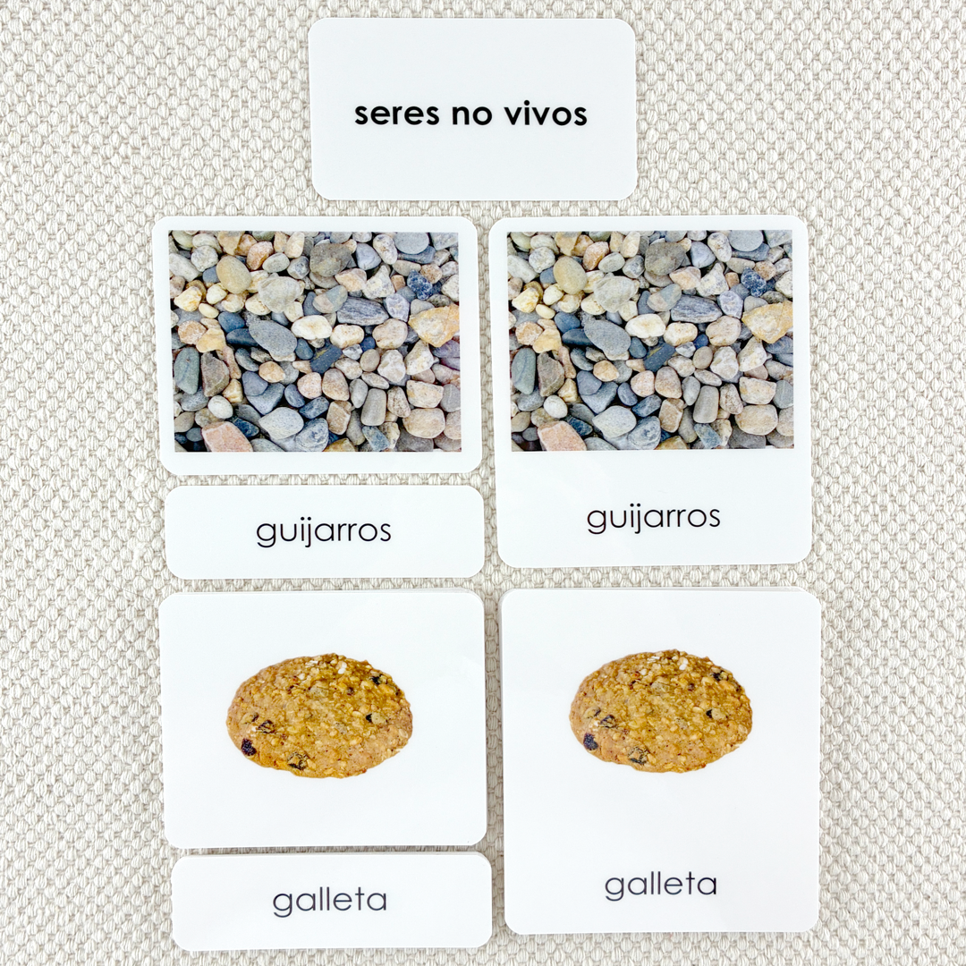 Spanish Non-Living 3-Part Cards
