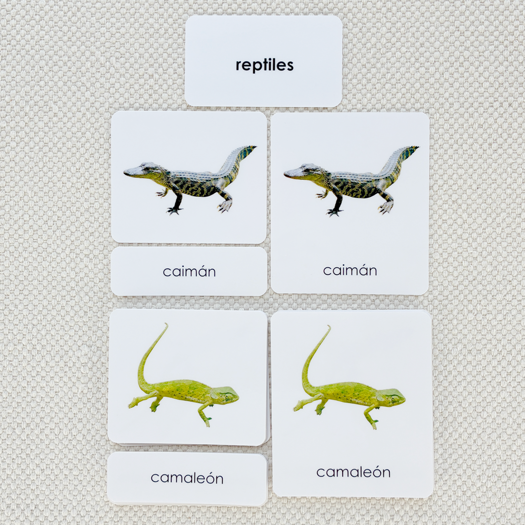 Spanish Reptiles 3-Part Cards