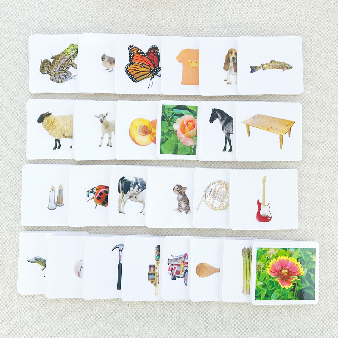 Basic Vocabulary Card Set/26