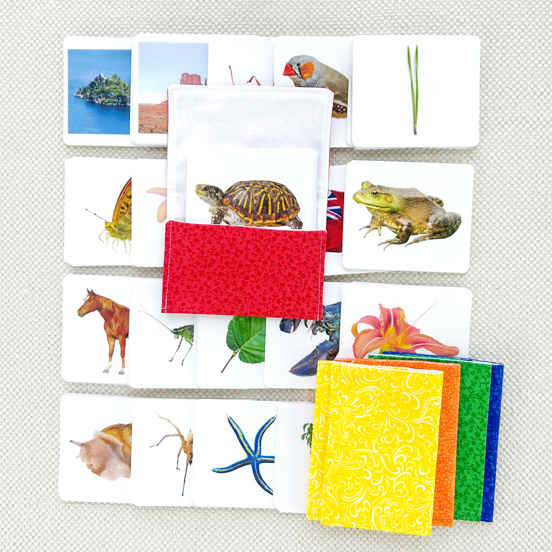 Advanced Vocabulary Card Set/20