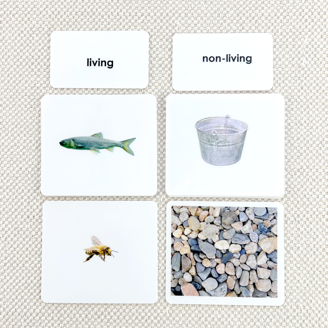 Non Existent Living. Note vlivnon1.png?v=1771964147&width=2048