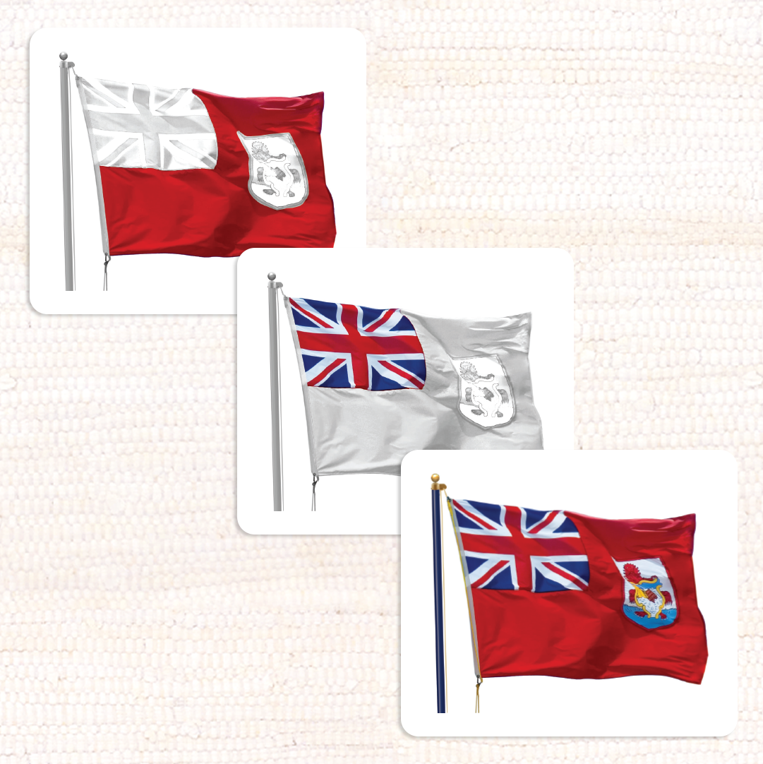 Parts of the Flag Book & Card Set