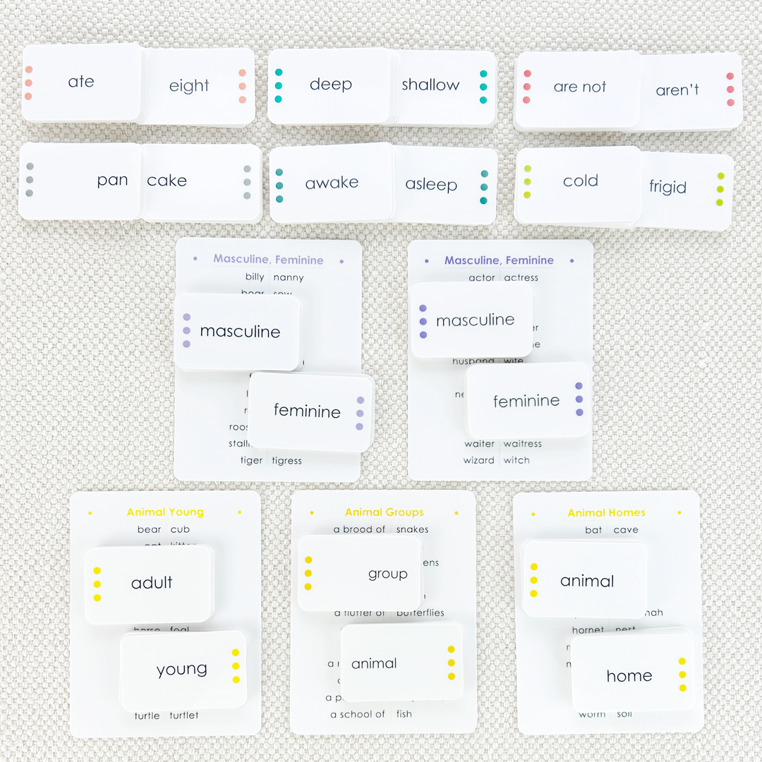 Imperfect Word Study Card Set - Maitri Learning
