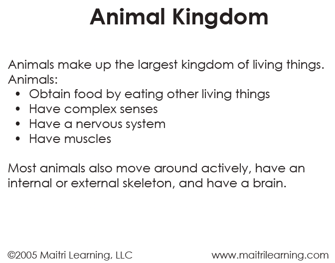 Plant/Animal Kingdom Sorting