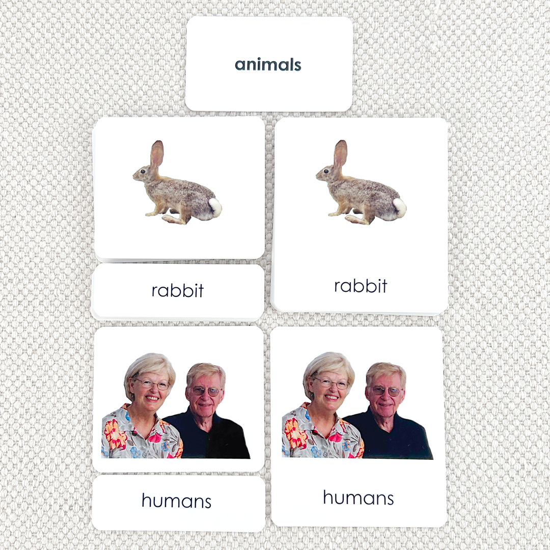 Animal Kingdom 3-Part Reading