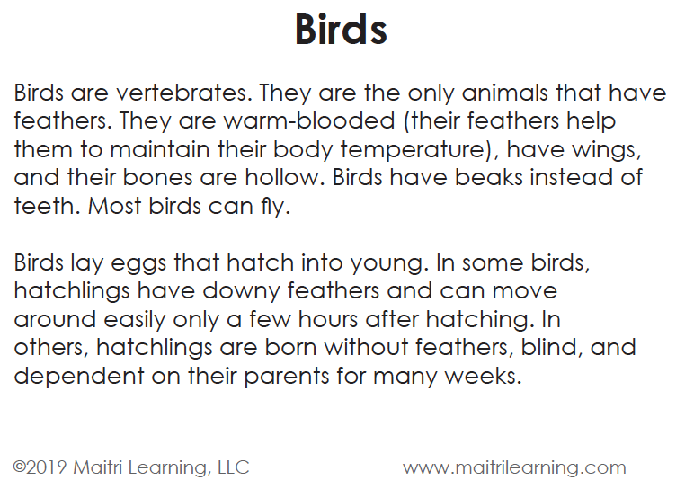 Birds Vocabulary