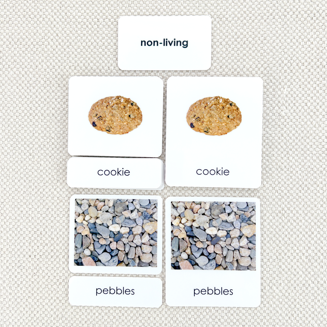 Non-Living 3-Part Reading