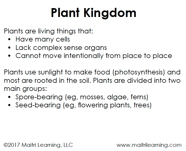 Plant/Animal Kingdom Sorting