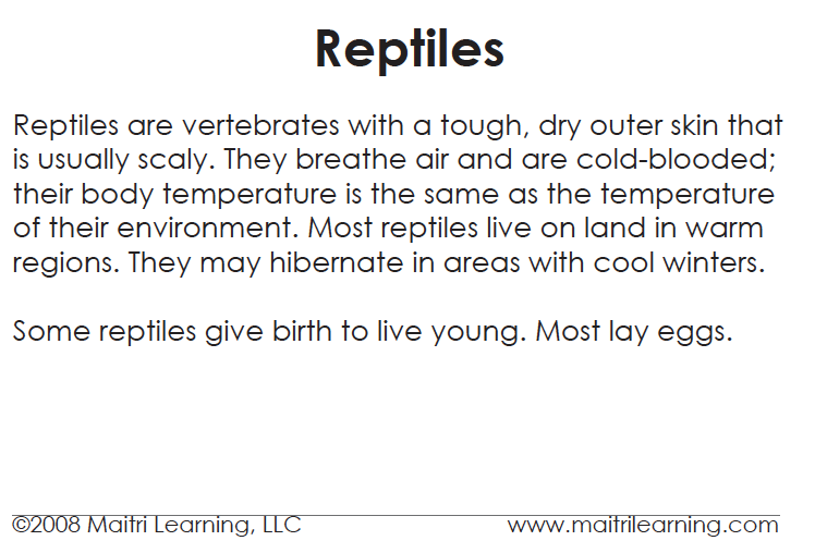Reptiles Vocabulary