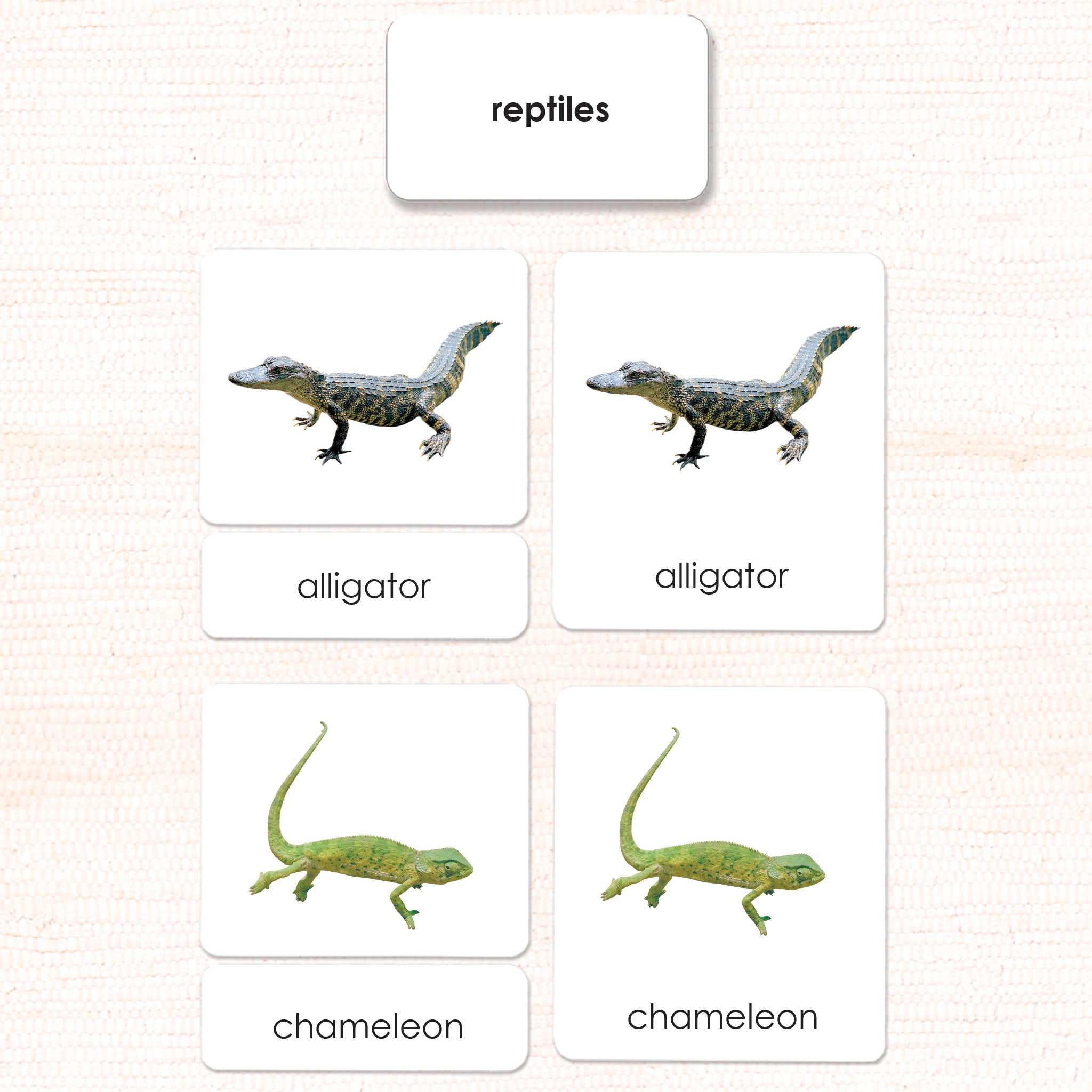 Imperfect Reptiles 3-Part Reading