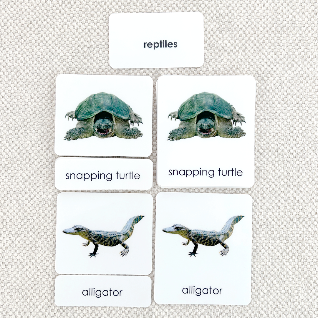 Reptiles 3-Part Reading