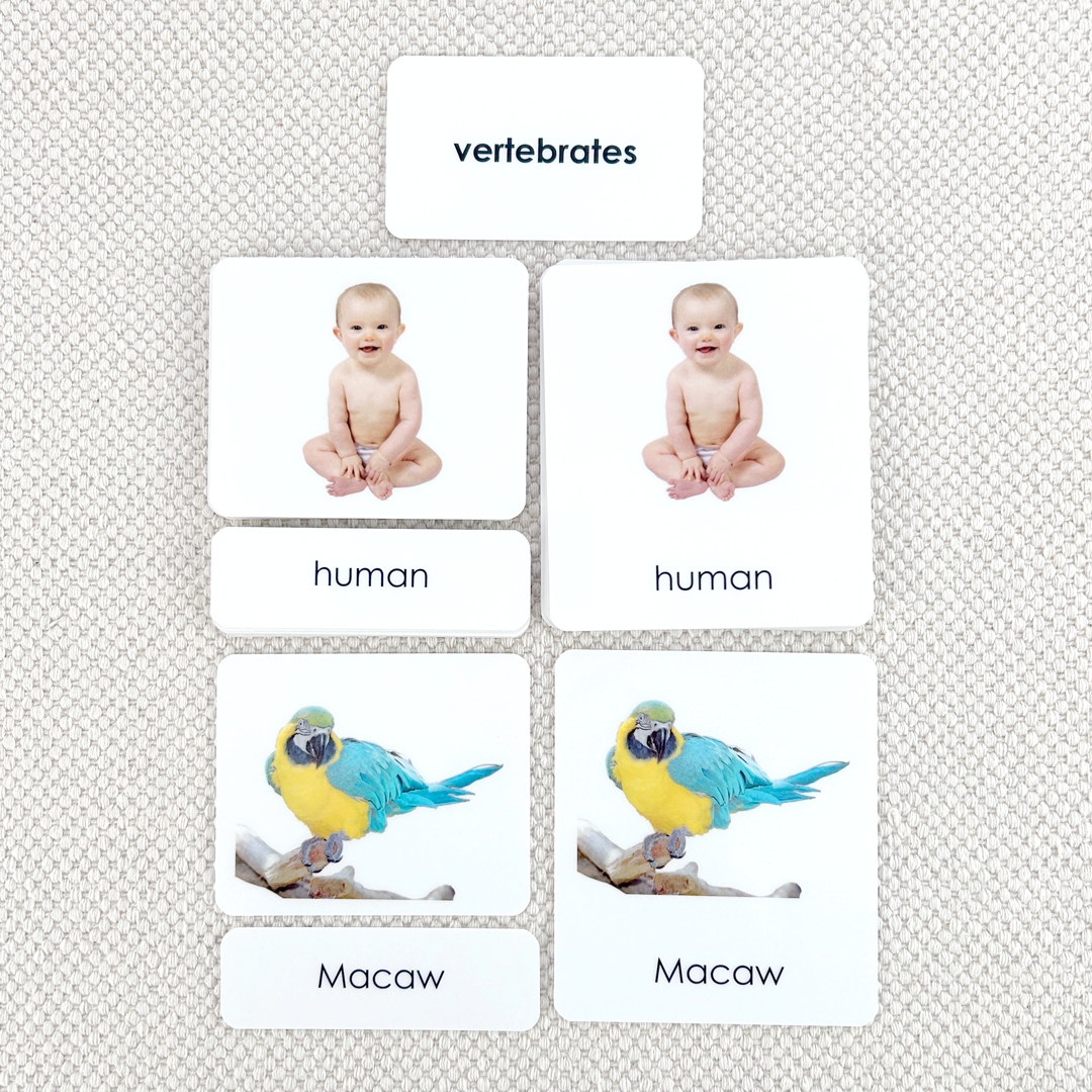 Vertebrates 3-Part Reading