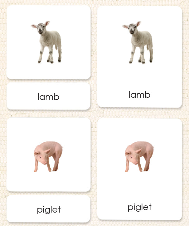 Imperfect Farm Animals (Juvenile) 3-Part Reading - Maitri Learning