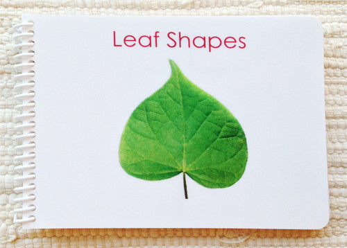 Imperfect Leaf Shapes (Botany Cabinet) Book – Maitri Learning