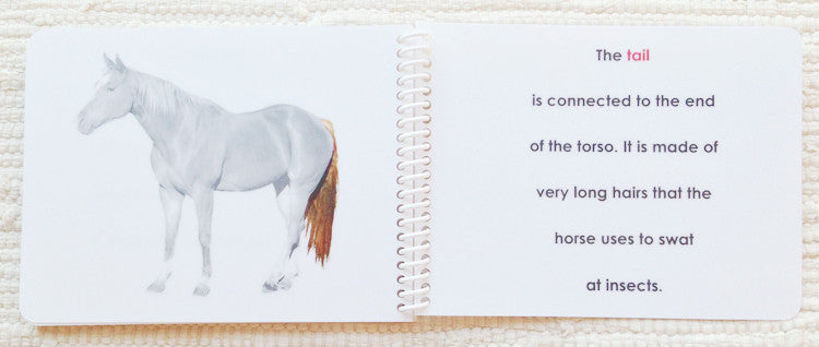 Imperfect: "Parts of" the Horse Book - Maitri Learning