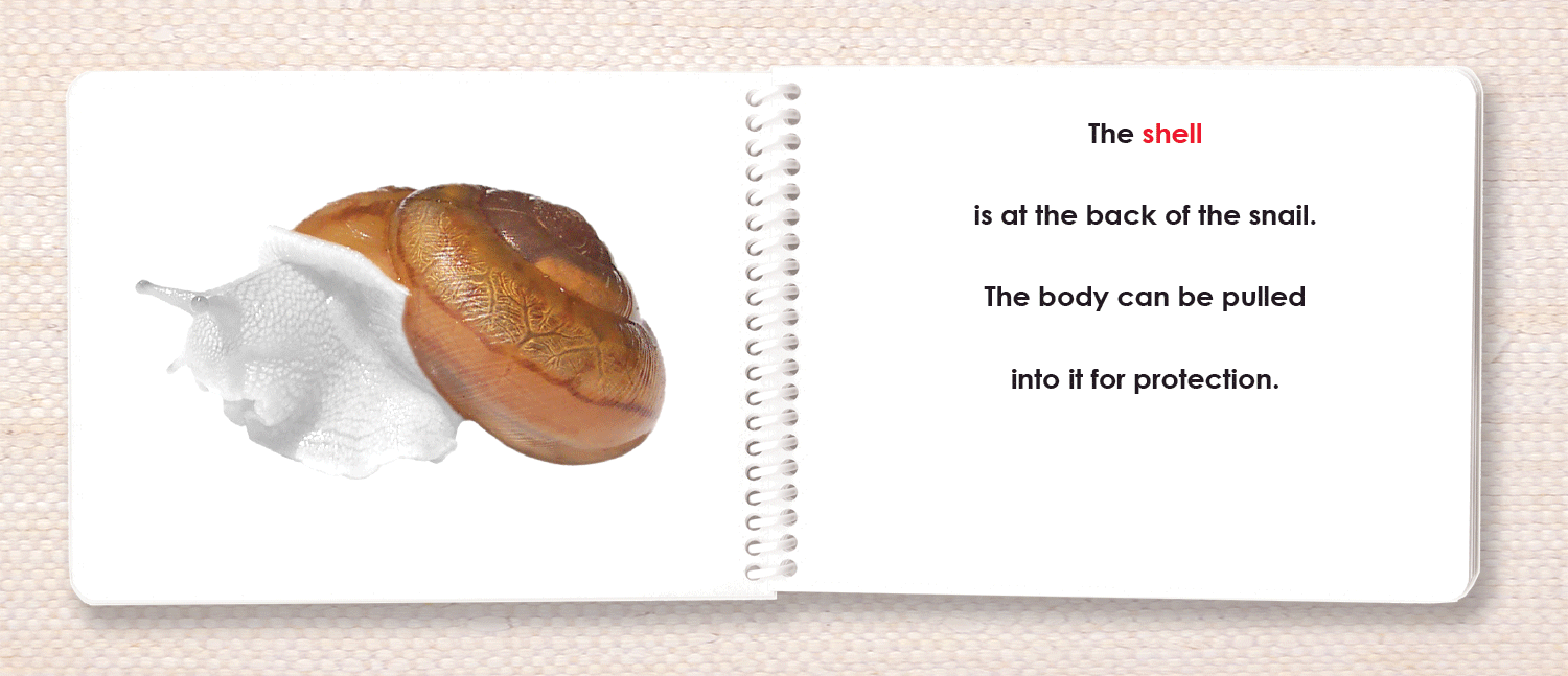 "Parts of" the Snail Book - Maitri Learning