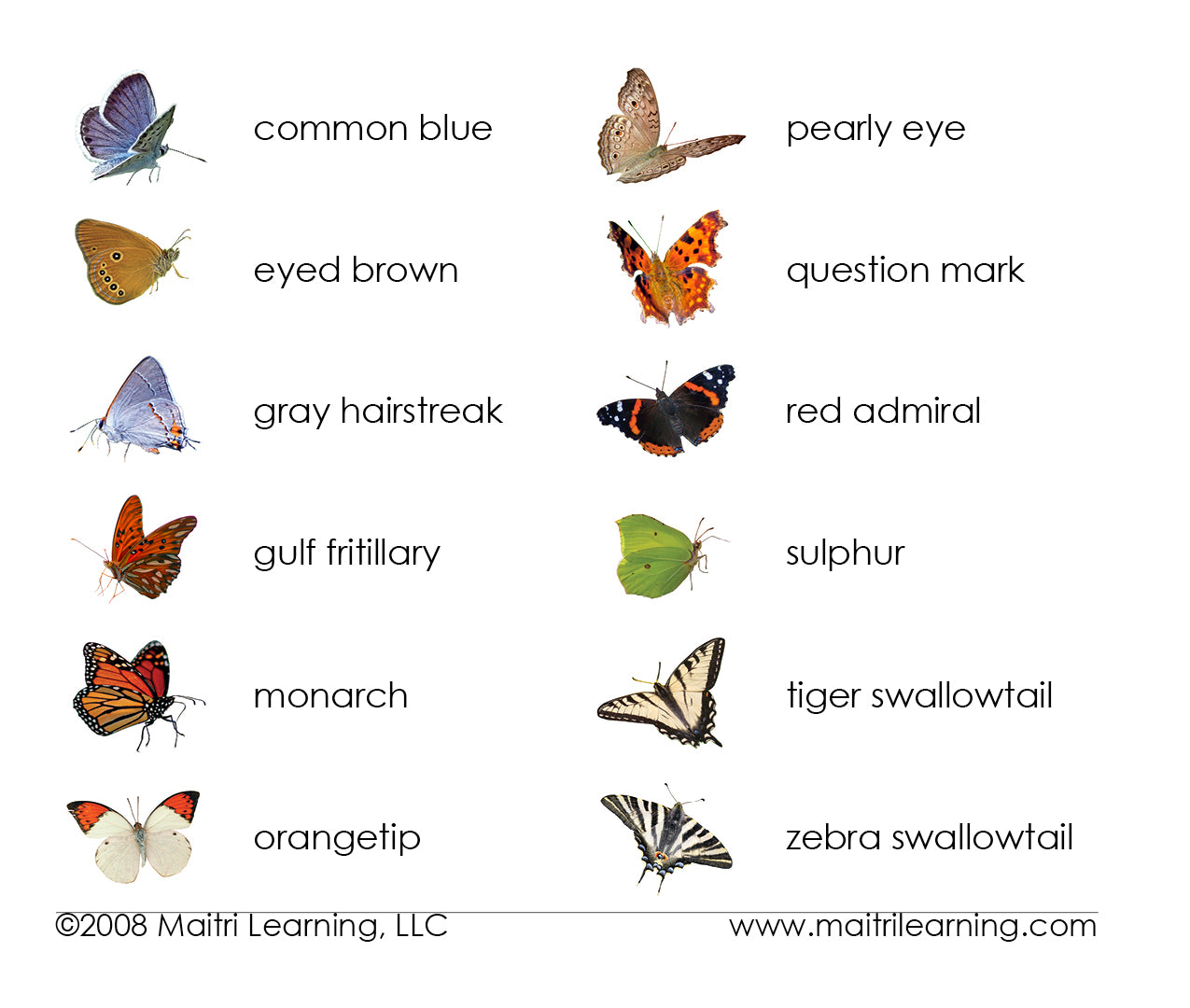Imperfect Butterflies Vocabulary - Maitri Learning