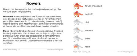 "Parts of" the Flower (Monocot) 3-Part Reading - Maitri Learning