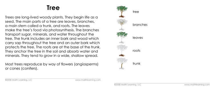 Parts of the Tree Book – Maitri Learning