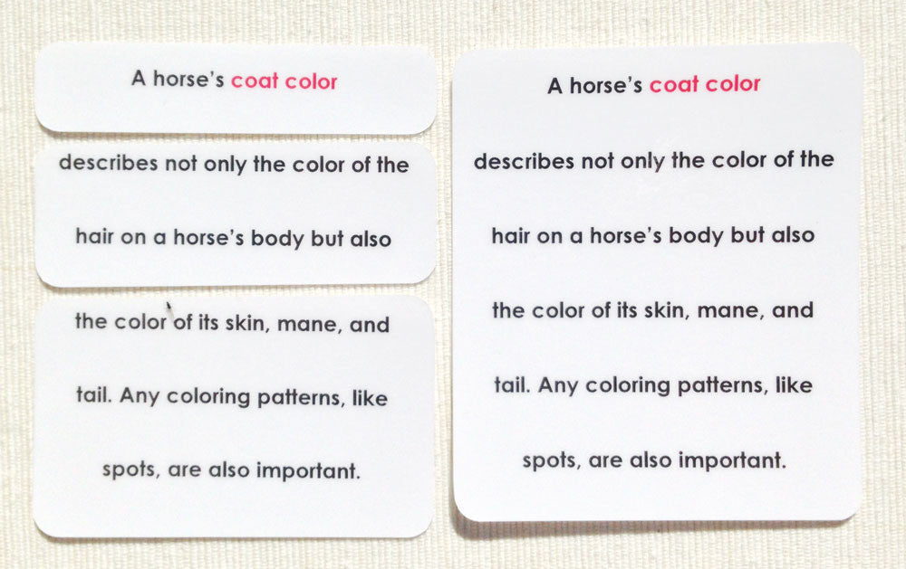 Horse Coat Colors Definition Cards - Maitri Learning