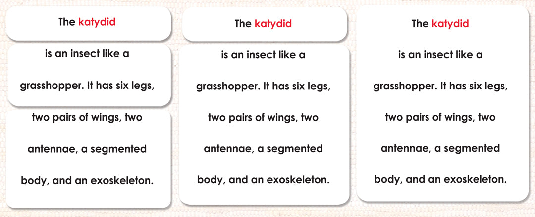 Imperfect Parts of the Katydid (Grasshopper) Definitions