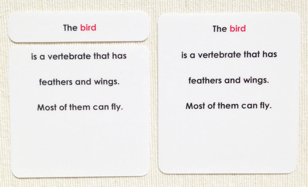 "Parts of" the Bird Definitions - Maitri Learning