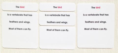 Vertebrates Definition Card Set - Maitri Learning
