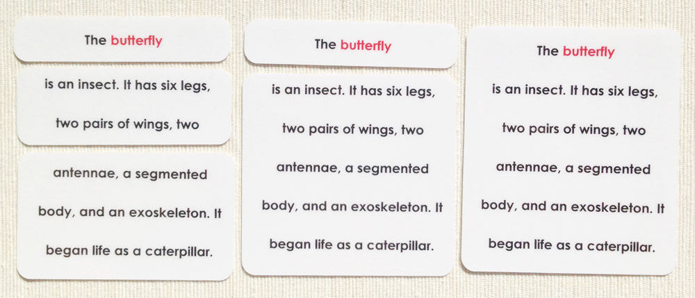 Invertebrates Definition Card Set - Maitri Learning
