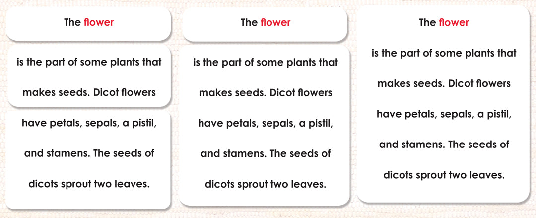 Imperfect Parts of the Flower (Dicot) Definitions