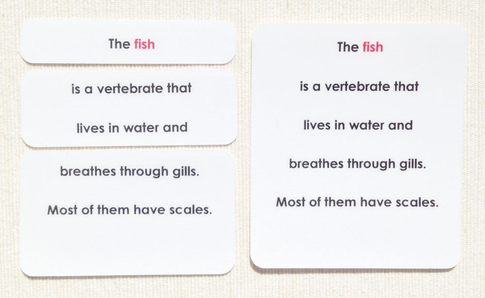 "Parts of" the Fish Definitions - Maitri Learning