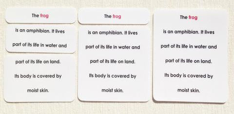 Vertebrates Definition Card Set - Maitri Learning