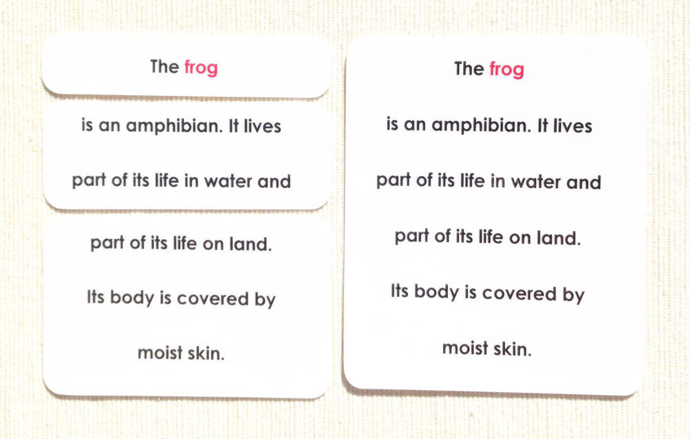 "Parts of" the Frog Definitions - Maitri Learning