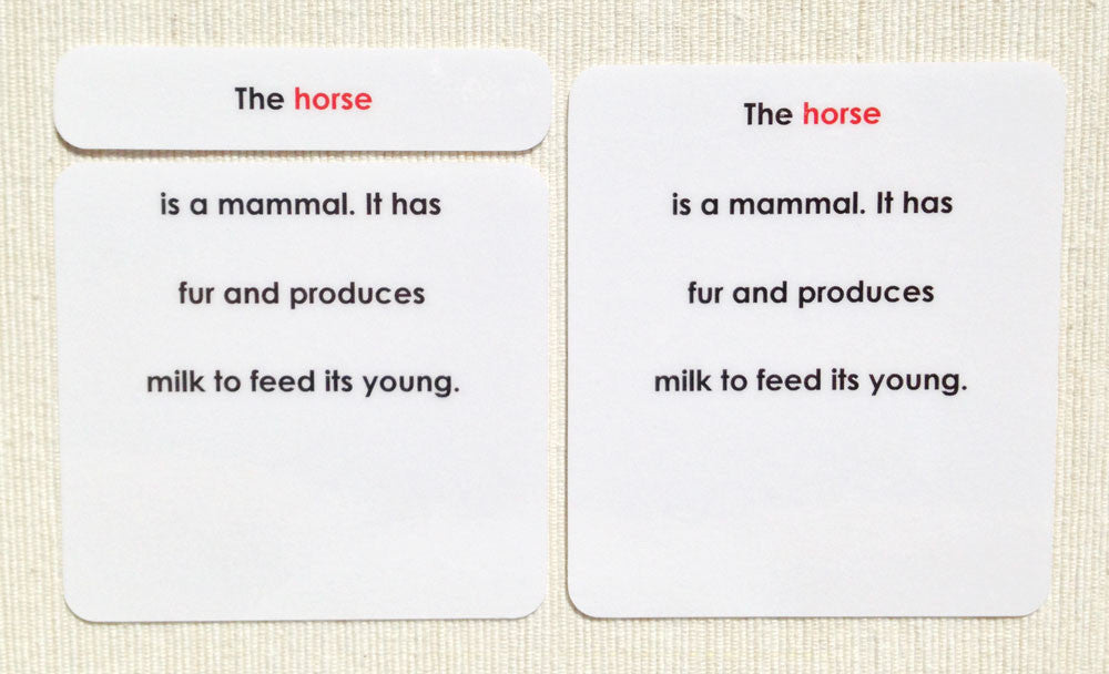 "Parts of" the Horse Definitions - Maitri Learning