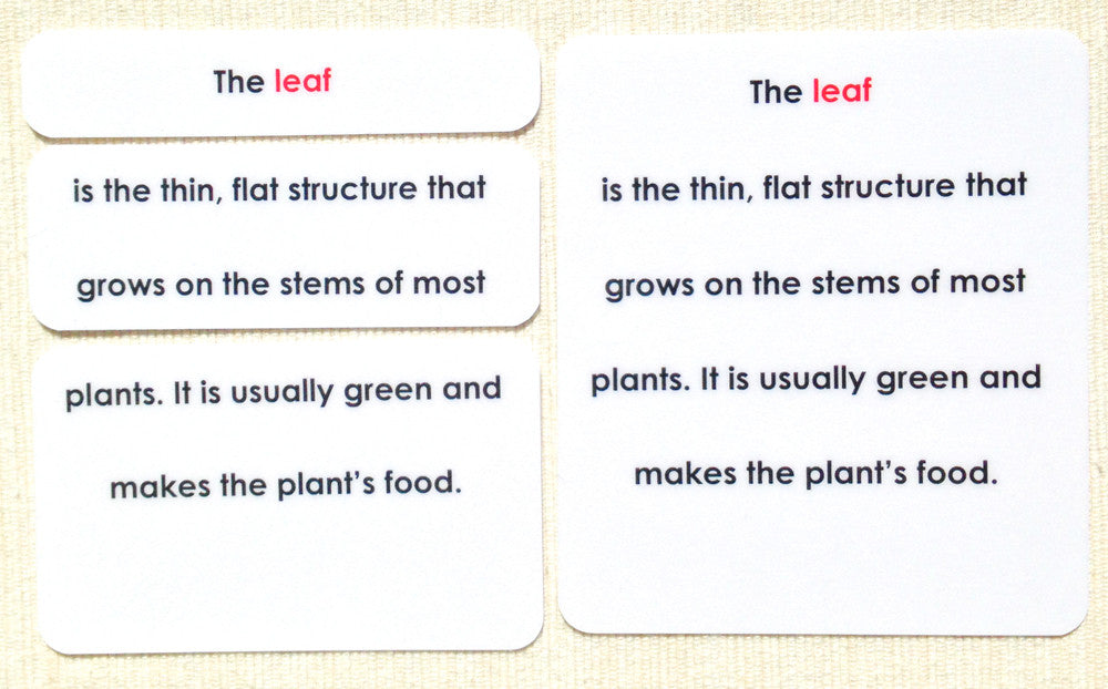 "Parts of" the Leaf Definitions - Maitri Learning