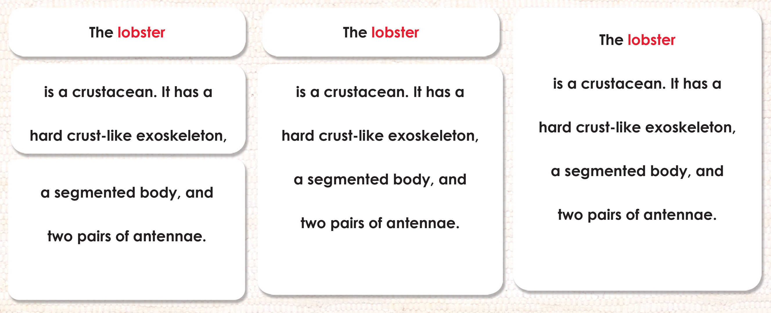 Parts of the Lobster Definitions