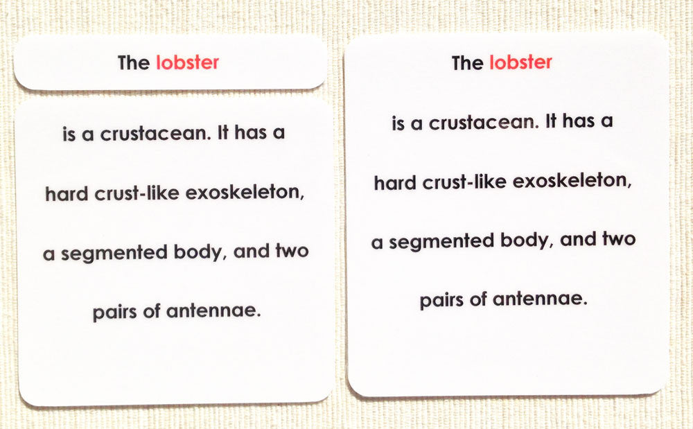 "Parts of" the Lobster Definitions - Maitri Learning