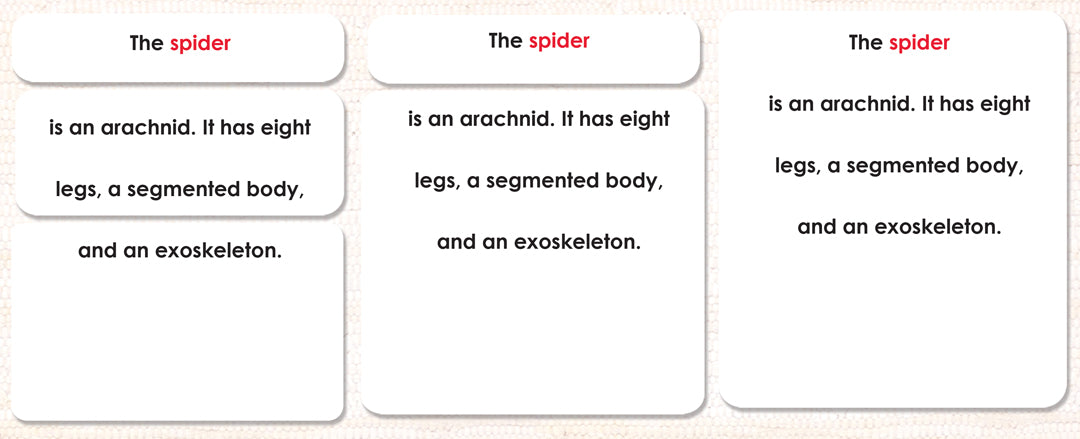 Parts of the Spider Definitions