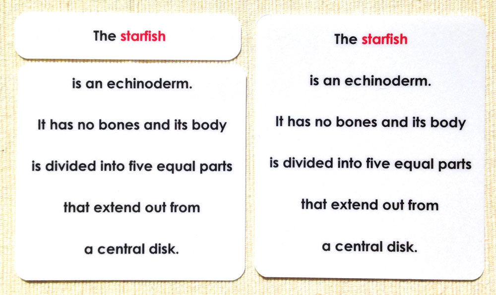 "Parts of" the Sea Star Definitions - Maitri Learning