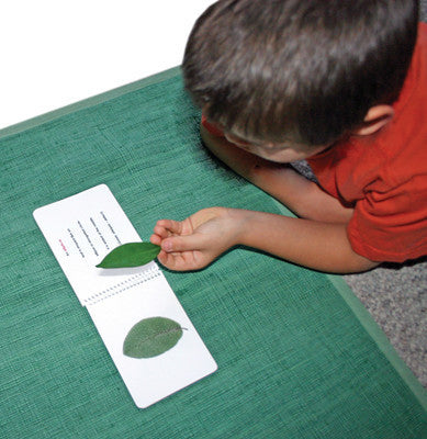 Leaf Shapes (Botany Cabinet) Book - Maitri Learning